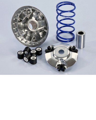 241 761 variatore polini - 241.761,